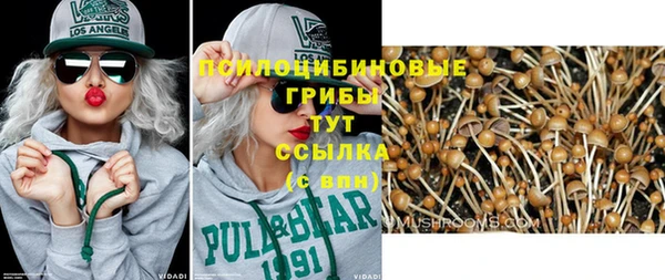 тгк Баксан
