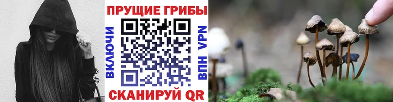 как найти   MEGA   Галлюциногенные грибы мицелий  Волгореченск 