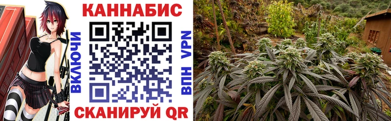 ОМГ ОМГ сайт  Волгореченск  Канабис план  хочу  